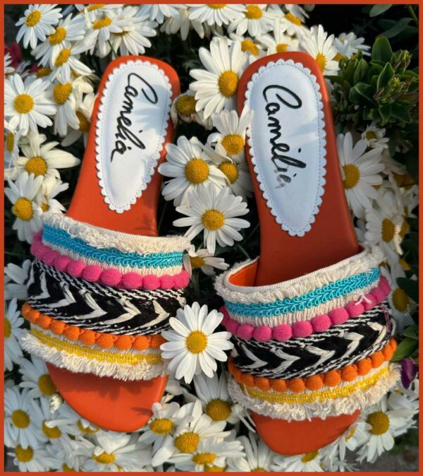 Arancio & Rainbow - immagine 2
